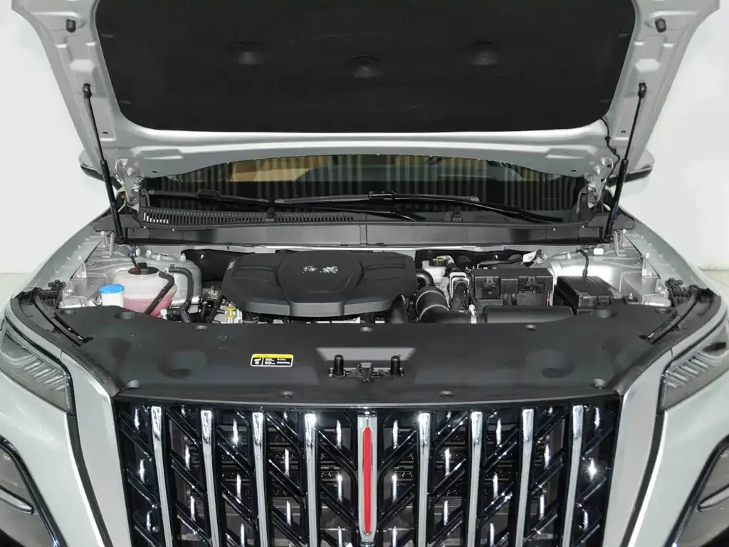 Hongqi HS5 2023 из CN, фото 8