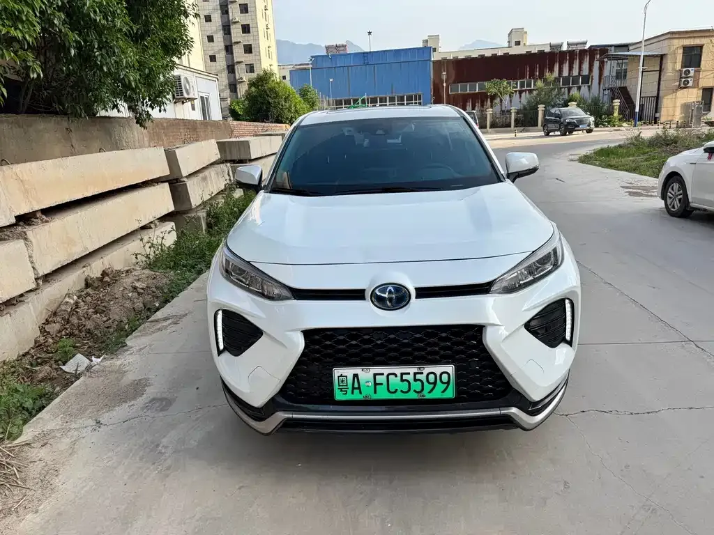 Toyota Wildlander New Energy 2021 из CN, фото 4