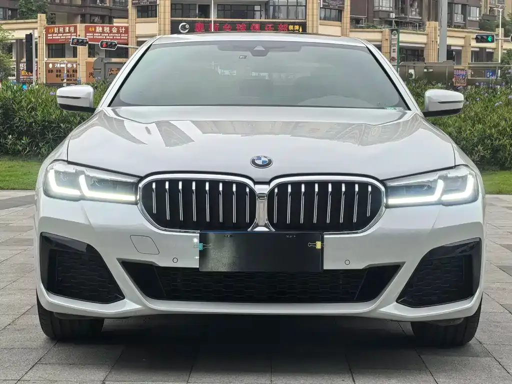 BMW 5 Series 2023 из CN, фото 3