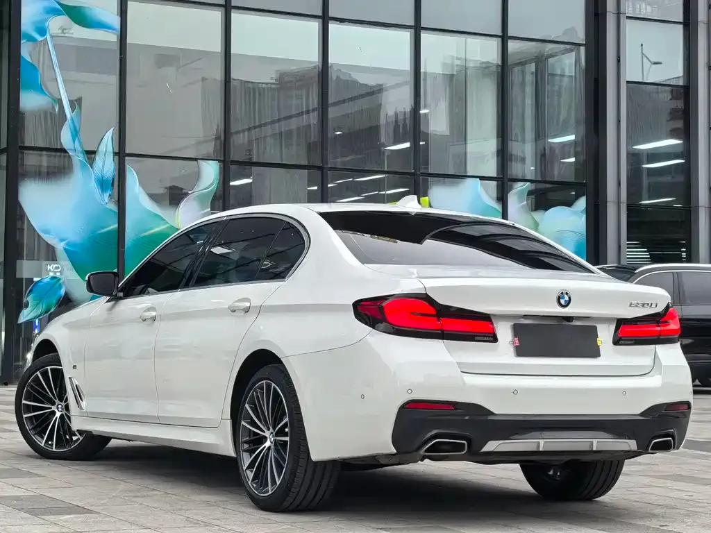 BMW 5 Series 2023 из CN, фото 5