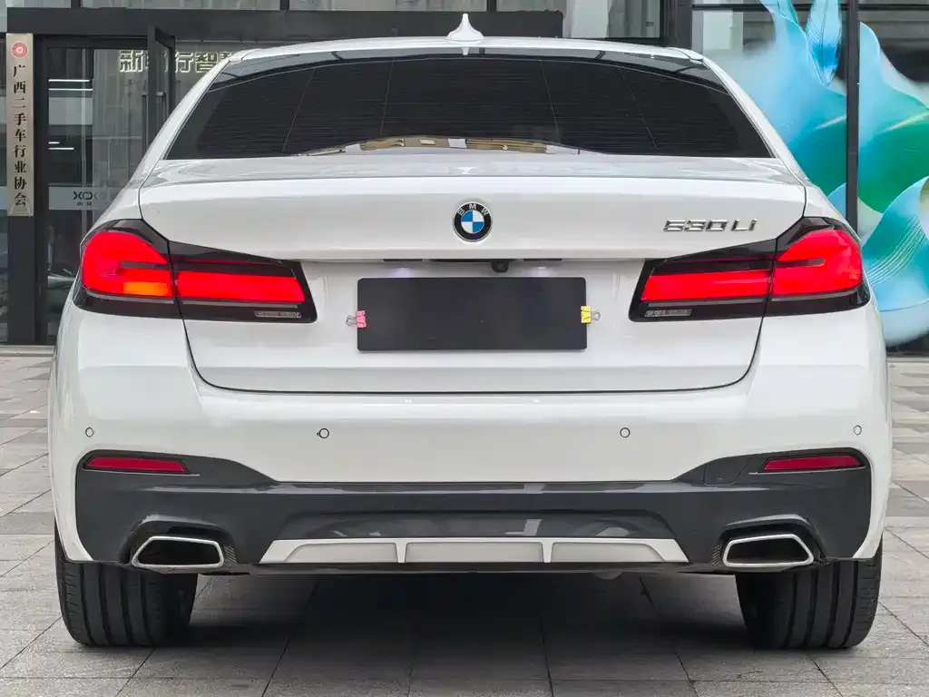 BMW 5 Series 2023 из CN, фото 6