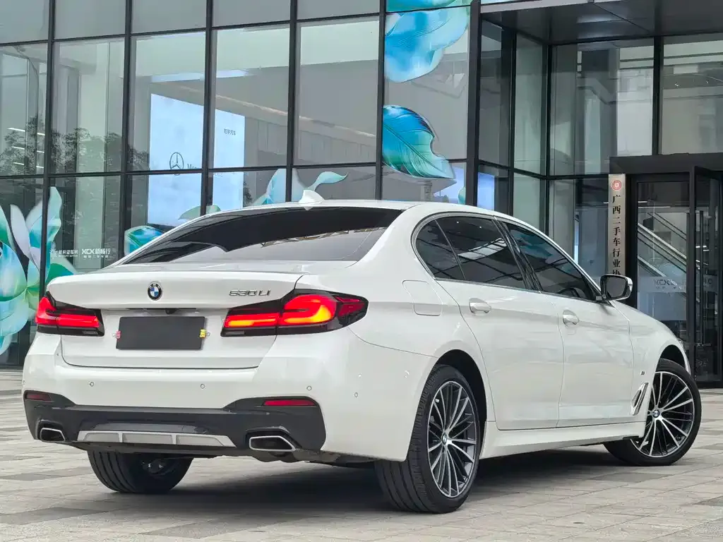 BMW 5 Series 2023 из CN, фото 9