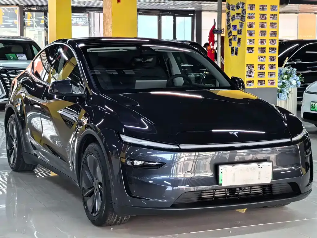 Tesla Model Y — фото 3
