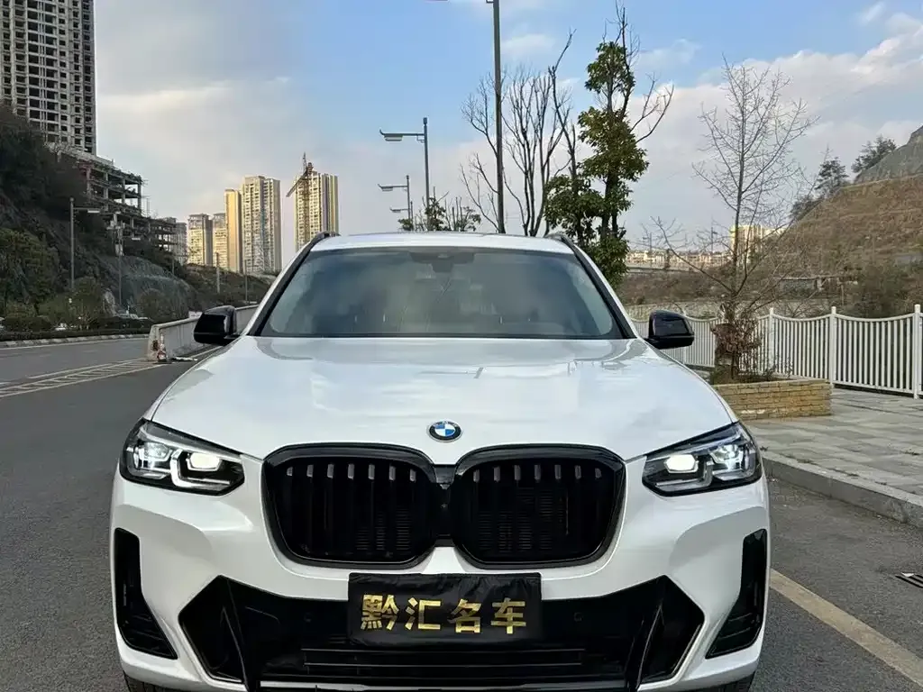 BMW X3 — фото 1