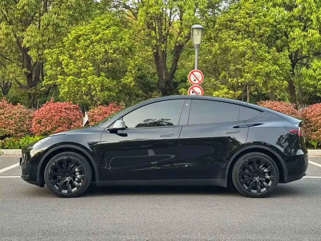 Tesla Model Y — фото 9