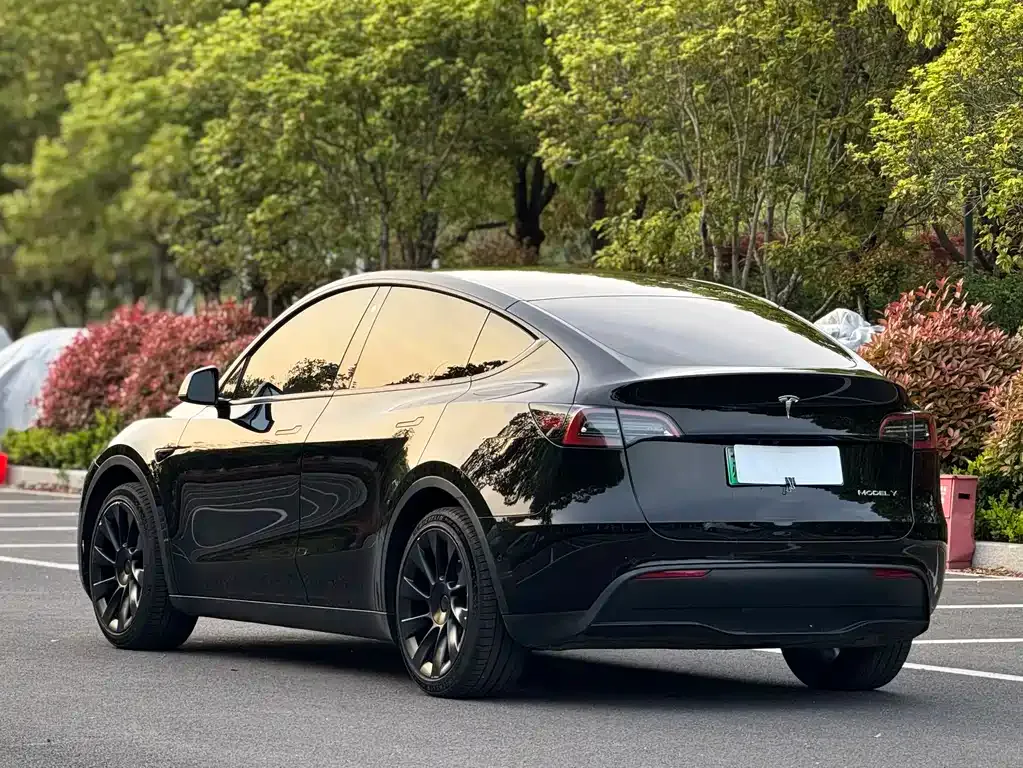 Tesla Model Y — фото 8