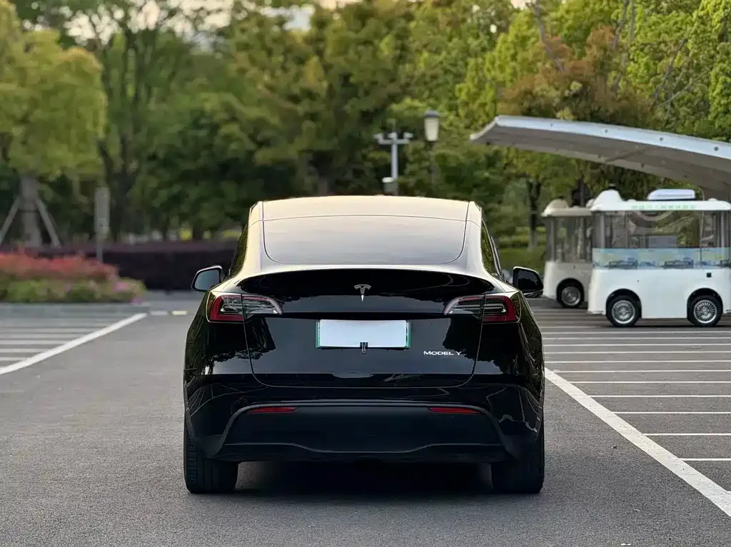Tesla Model Y — фото 7