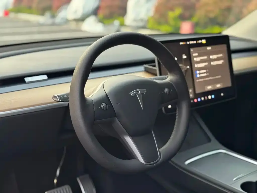 Tesla Model Y — фото 10