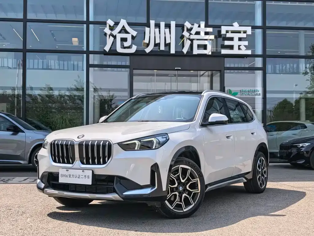 BMW X1 — фото 1
