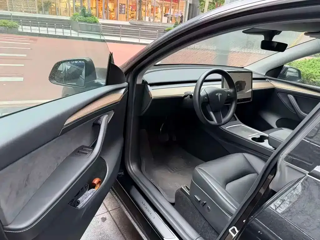 Tesla Model Y — фото 2