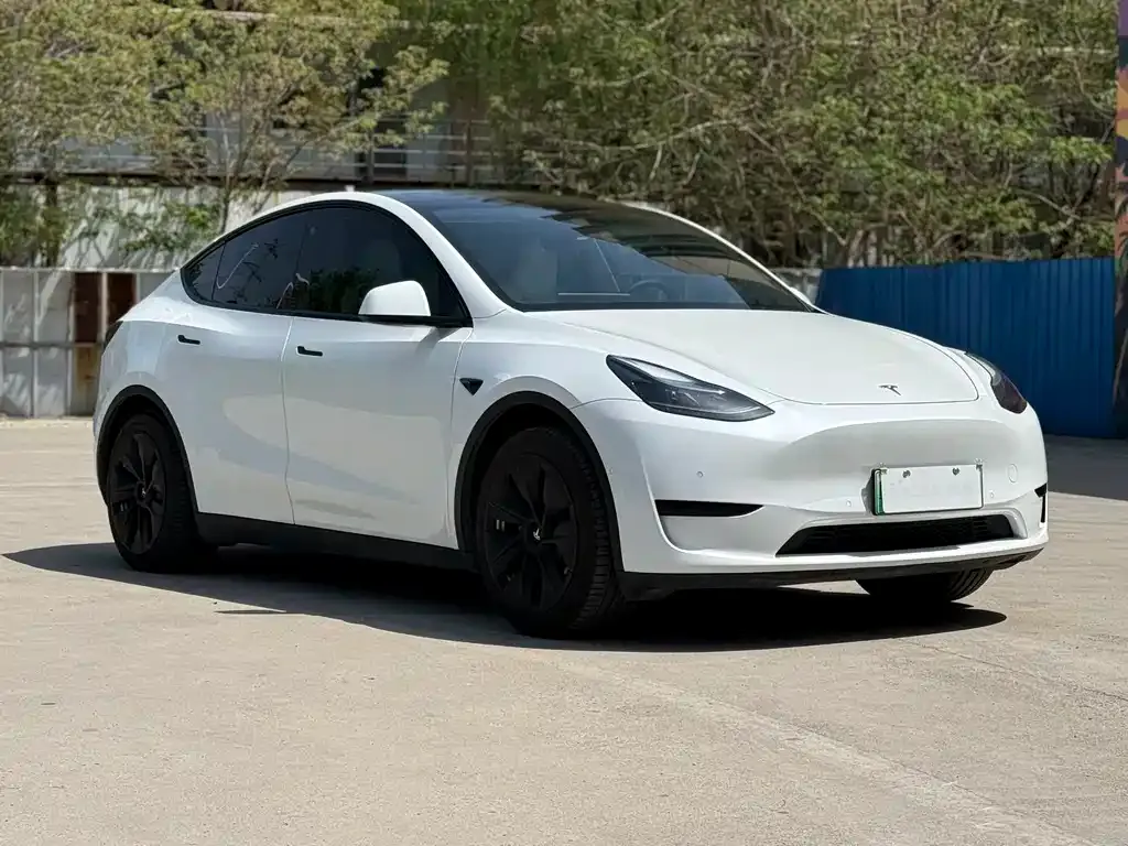 Tesla Model Y — фото 10