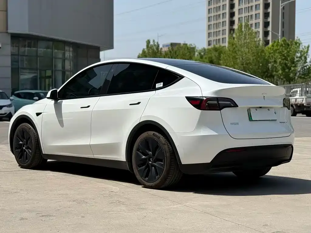 Tesla Model Y — фото 9
