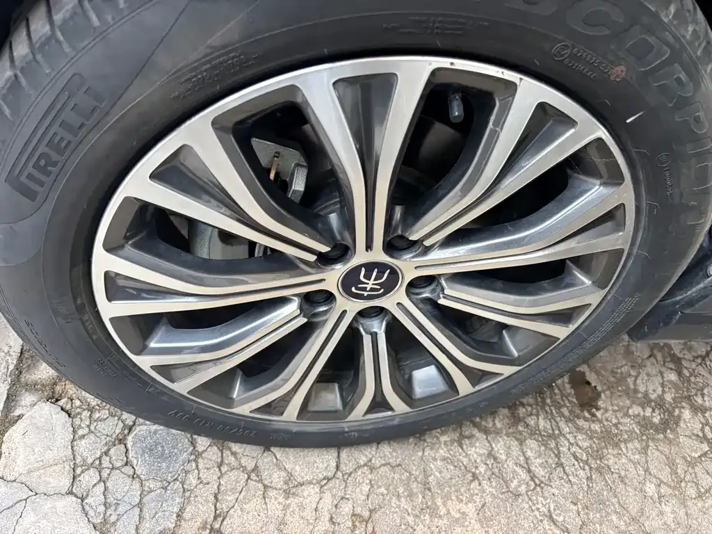 BYD Pro New Energy — фото 7