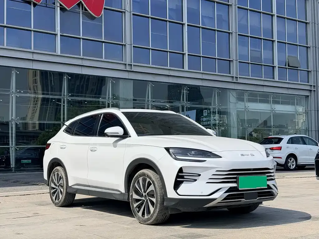 BYD PLUS New Energy — фото 5