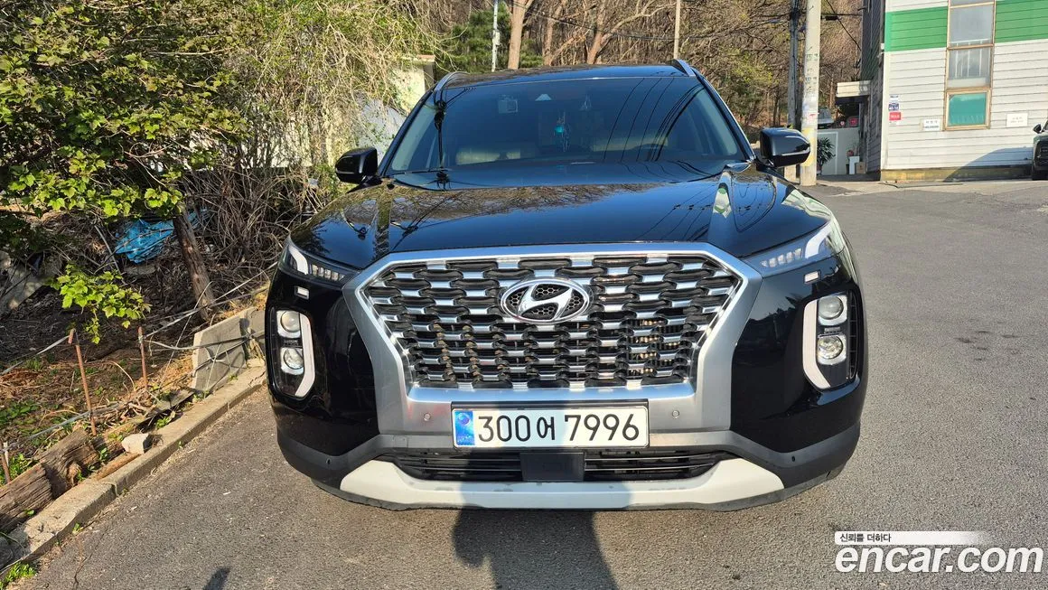 Hyundai Palisade — фото 9