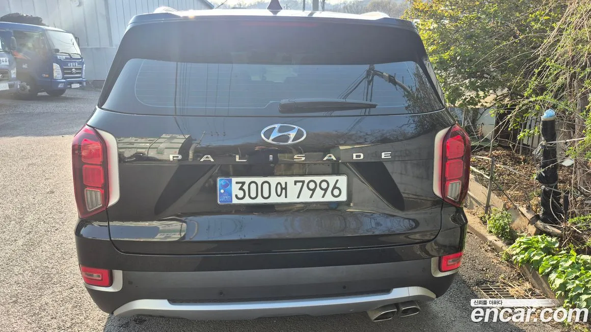 Hyundai Palisade — фото 8