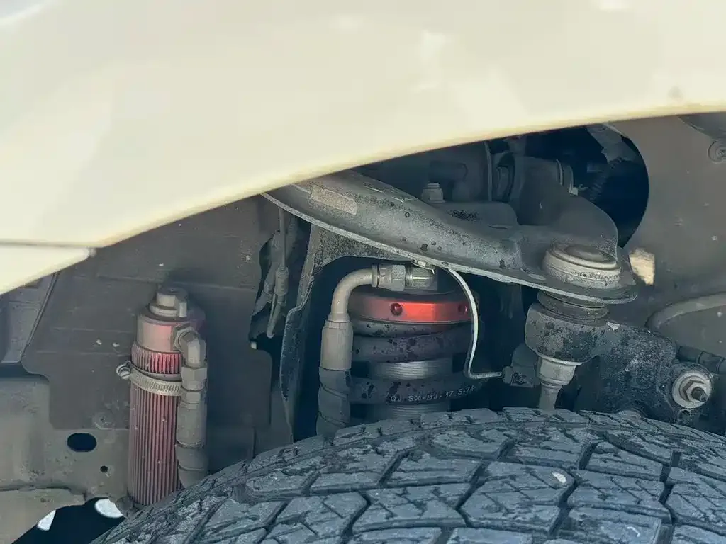 Ford Everest 2021 из CN, фото 2