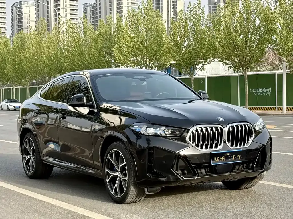 BMW X6 — фото 5