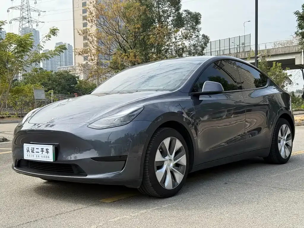 Tesla Model Y — фото 10
