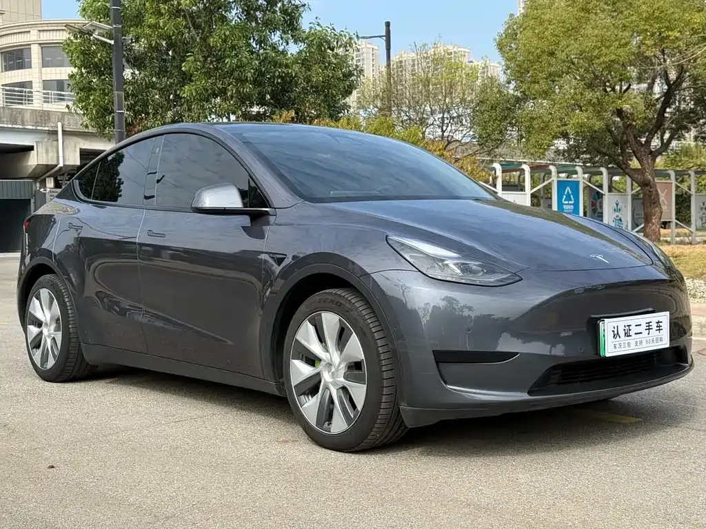Tesla Model Y — фото 3