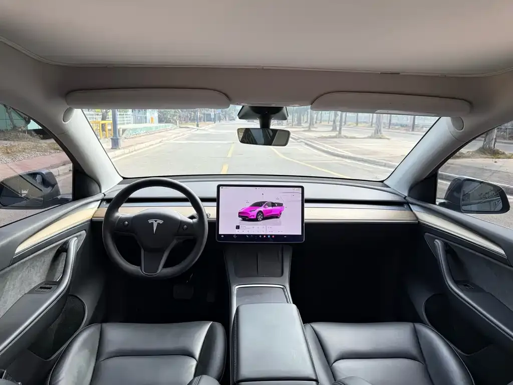 Tesla Model Y — фото 2