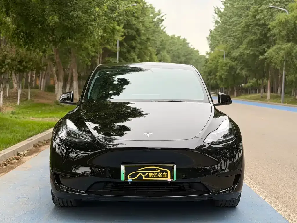Tesla Model Y — фото 8
