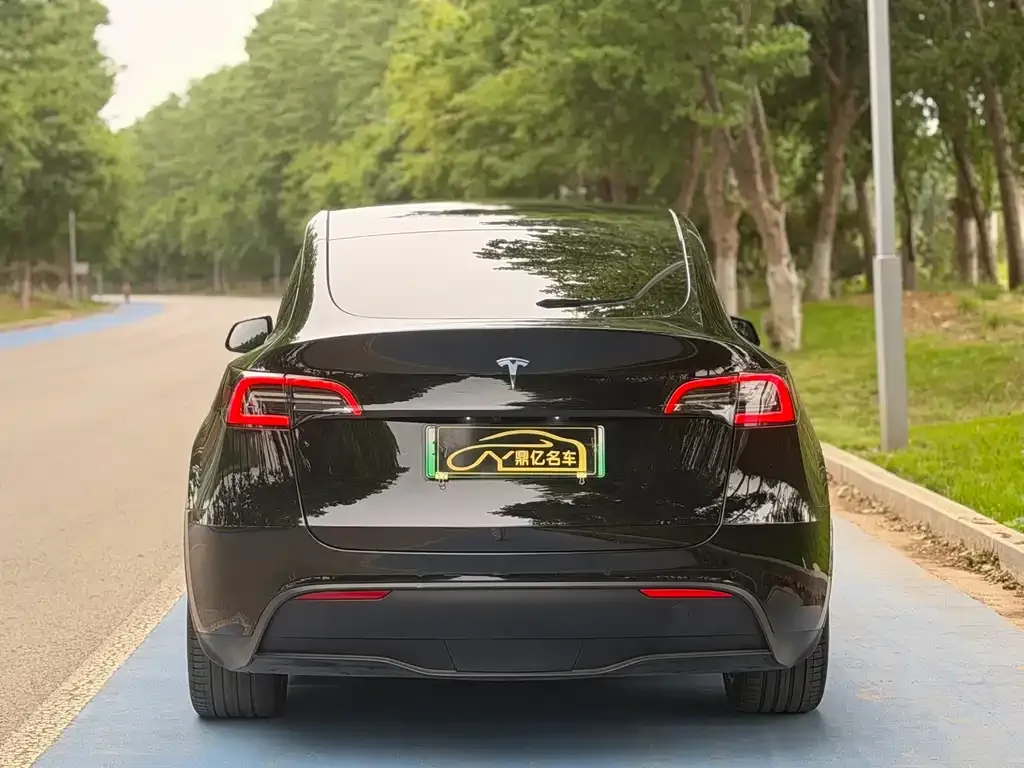 Tesla Model Y — фото 3