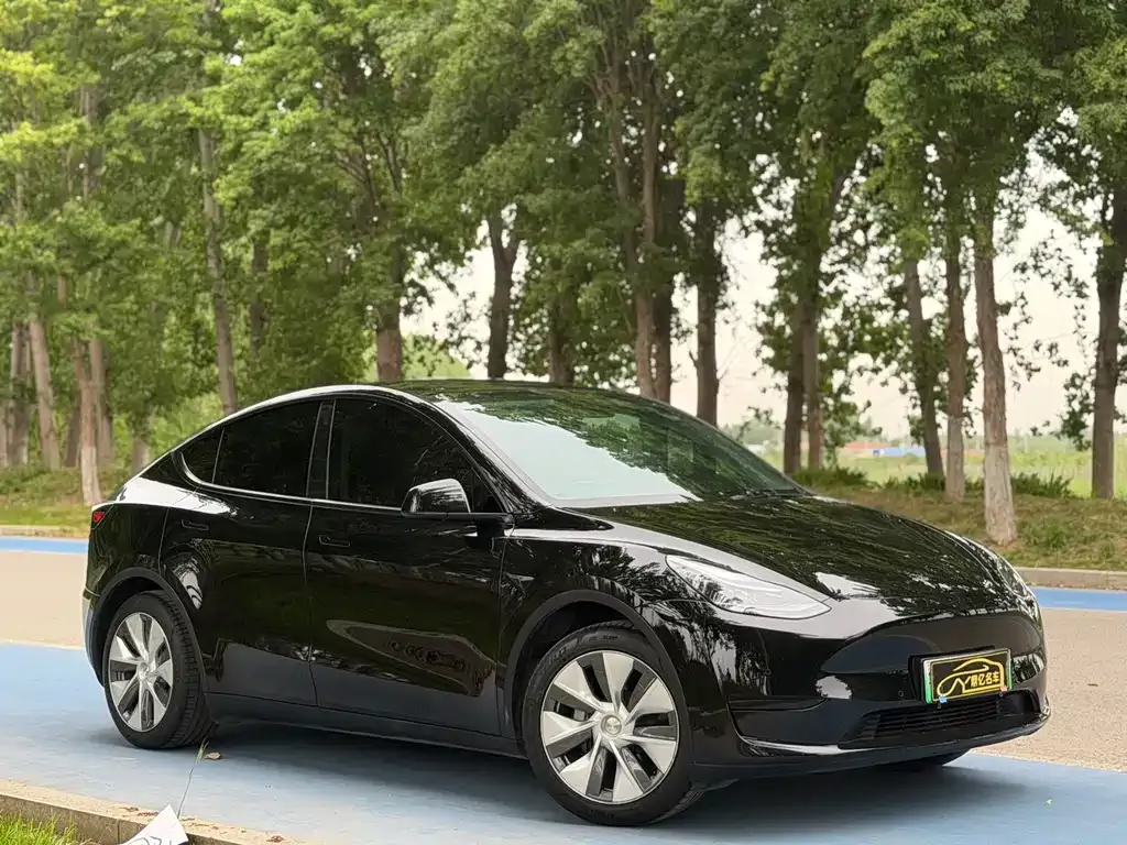 Tesla Model Y — фото 9