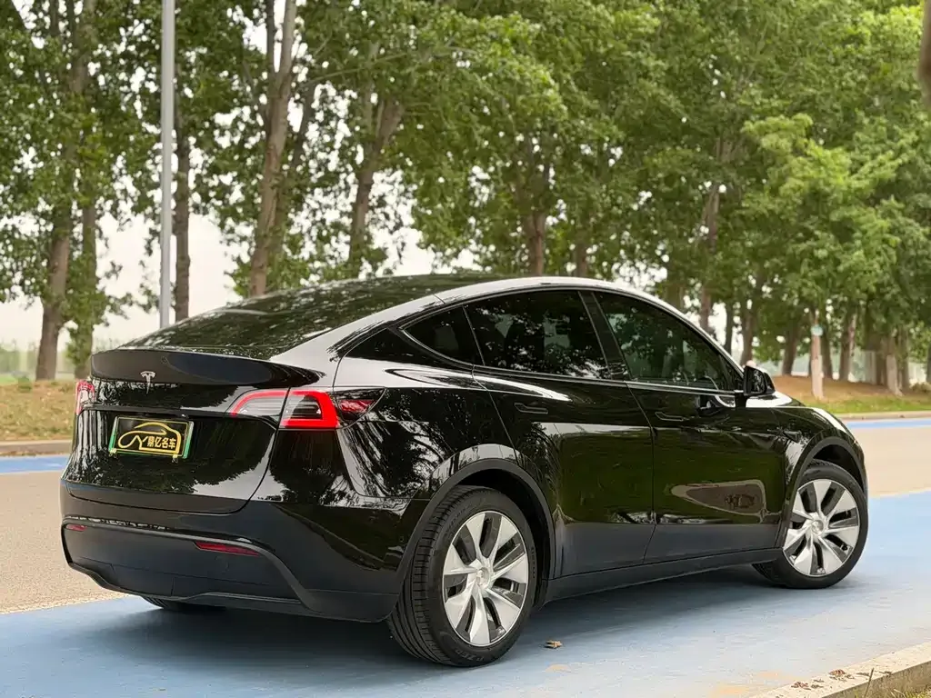 Tesla Model Y — фото 10