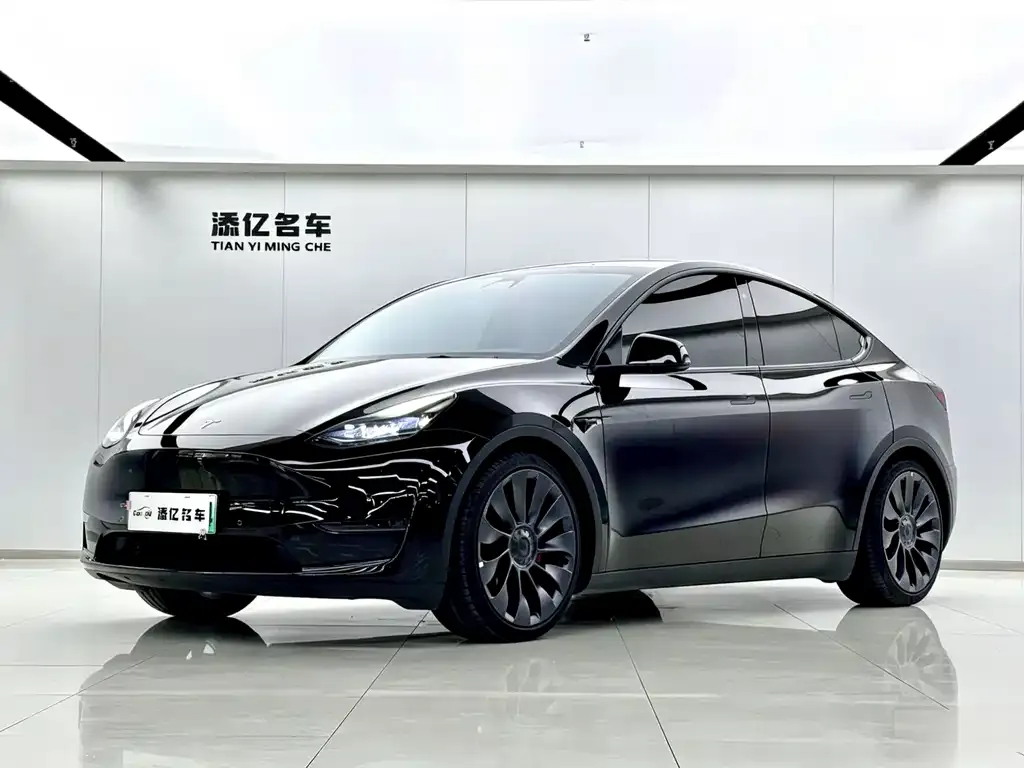 Tesla Model Y — фото 1