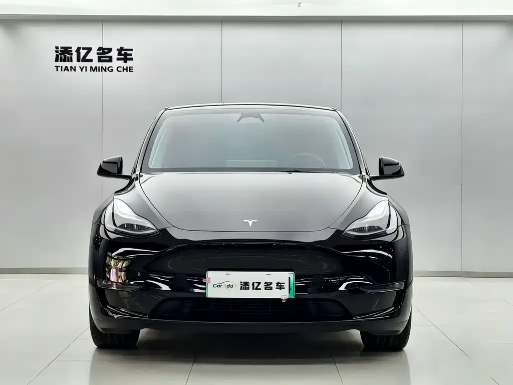 Tesla Model Y — фото 8