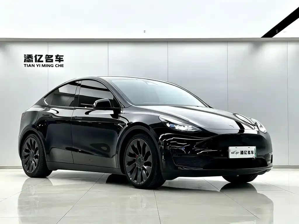 Tesla Model Y — фото 2