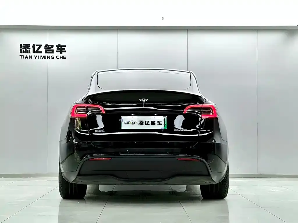 Tesla Model Y — фото 3