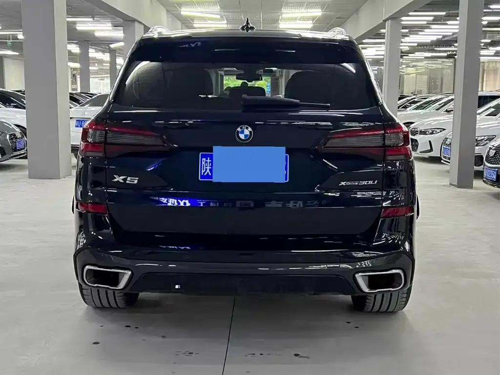 BMW X5 — фото 9