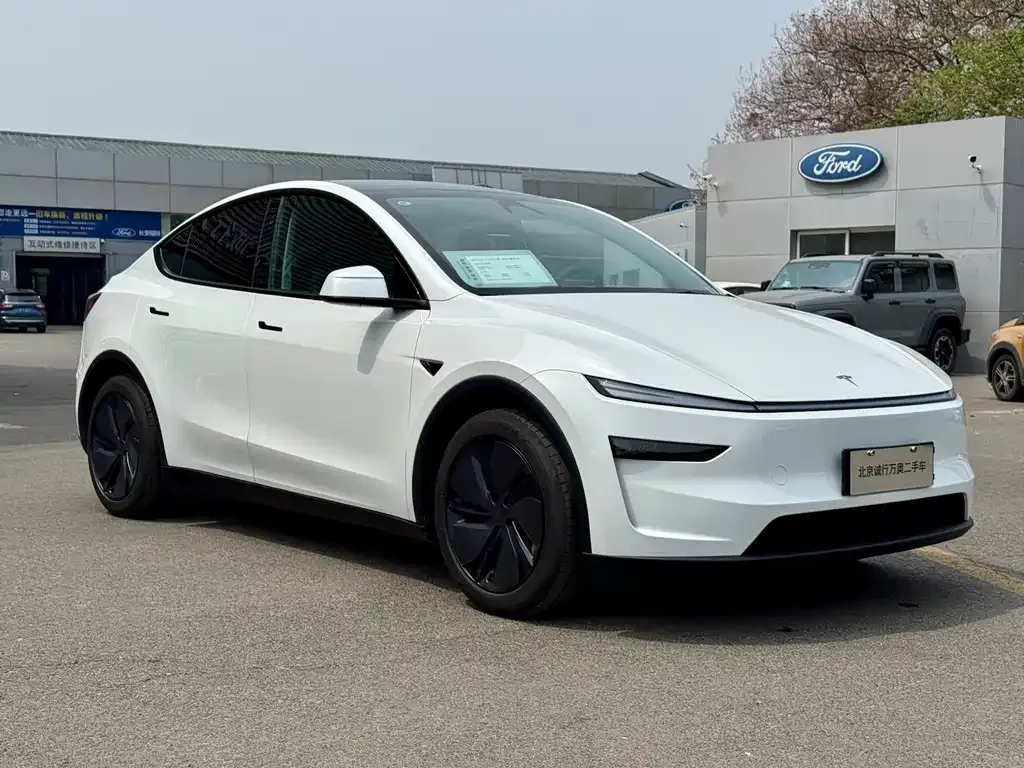 Tesla Model Y — фото 3