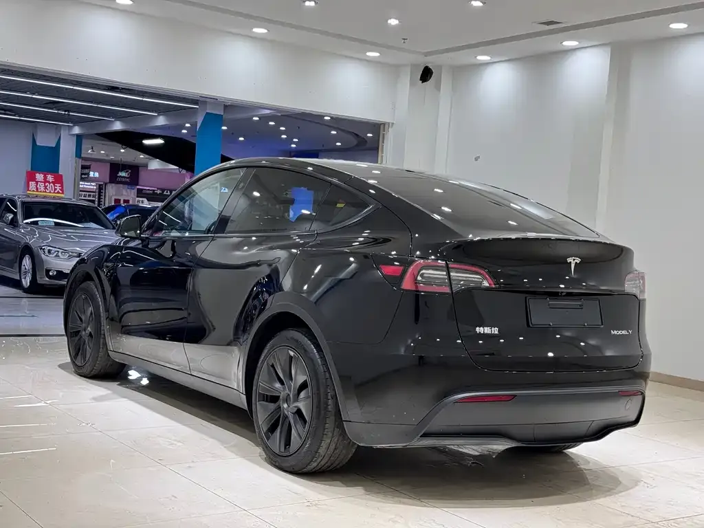 Tesla Model Y — фото 7