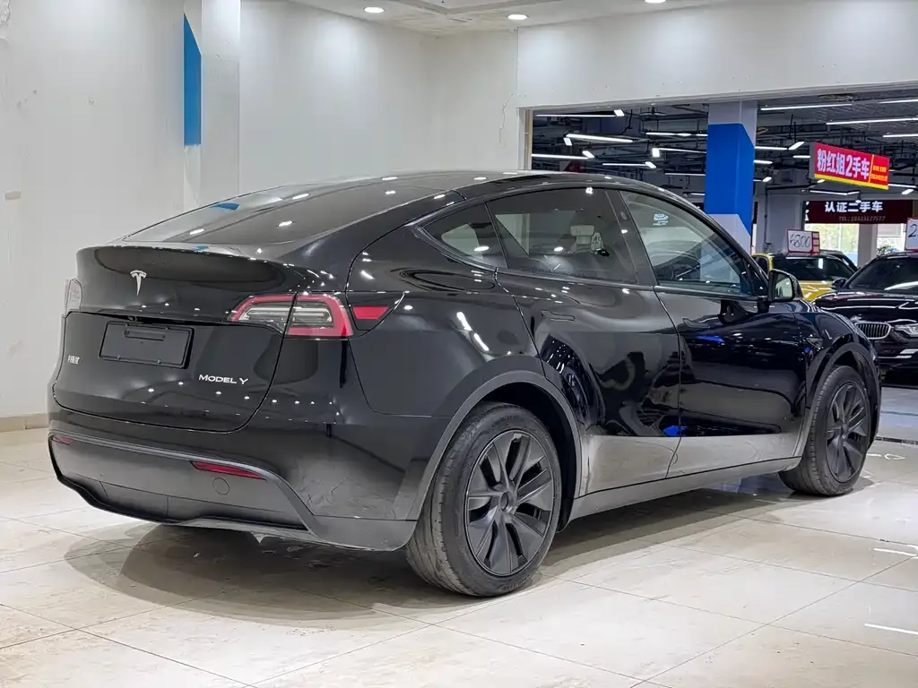 Tesla Model Y — фото 5