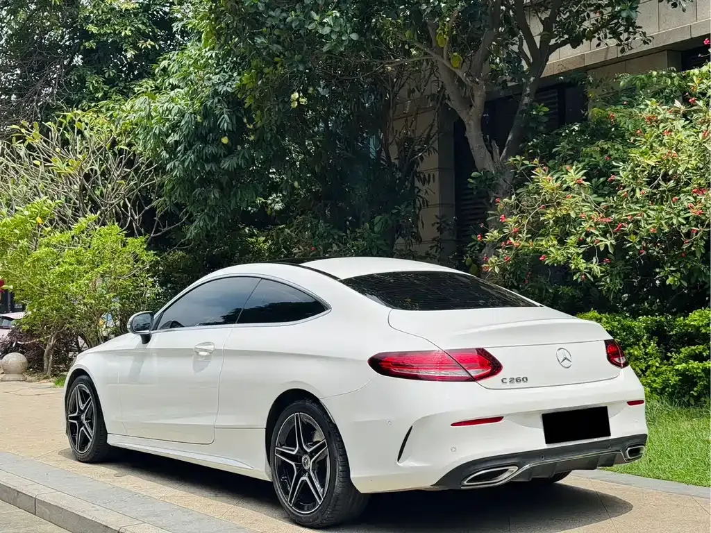 Mercedes-Benz C-Class (Import) — фото 10