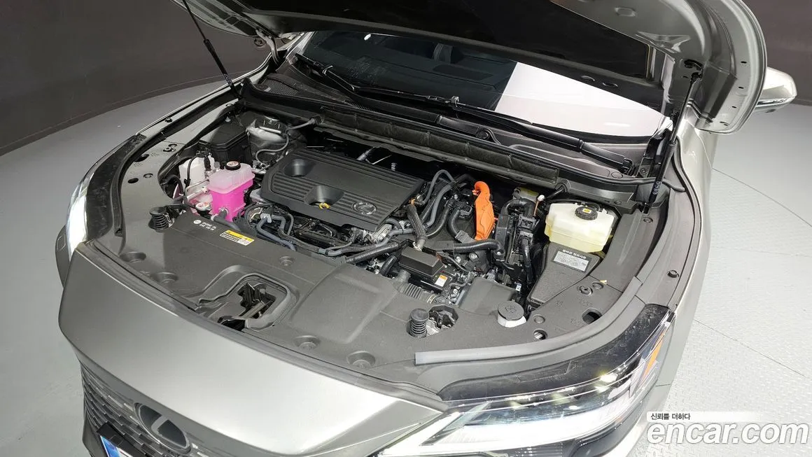 Lexus RX 2025 из KR, фото 5