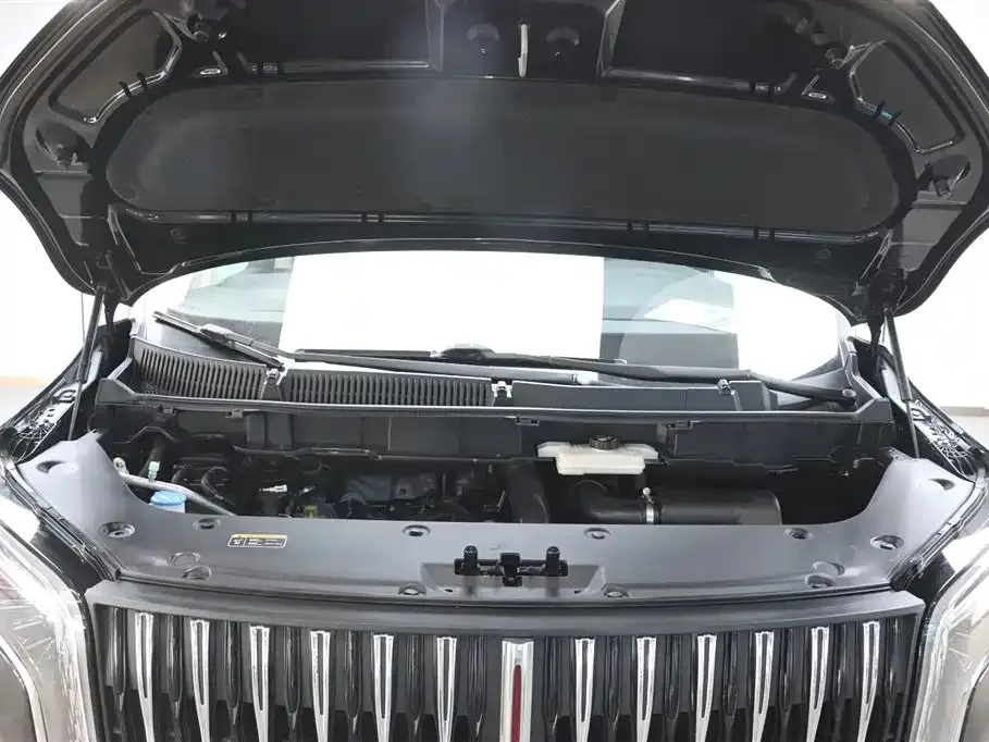 Hongqi HQ9 2023 из CN, фото 8