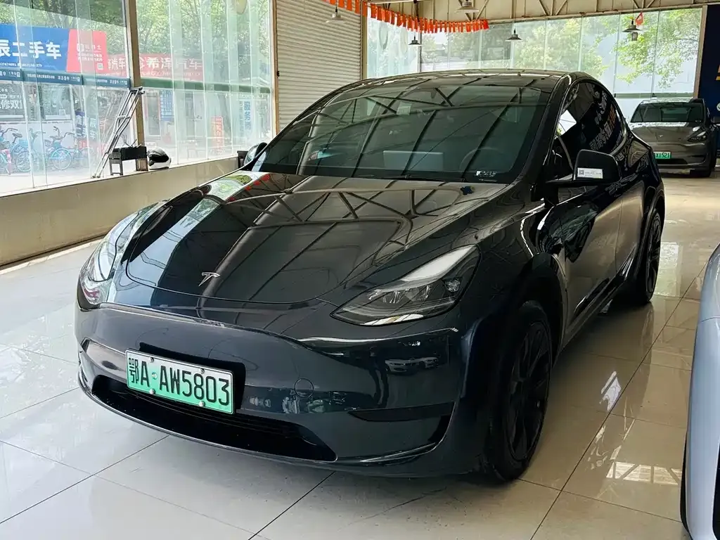 Tesla Model Y — фото 1