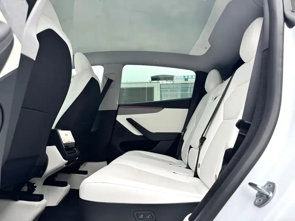 Tesla Model Y — фото 10