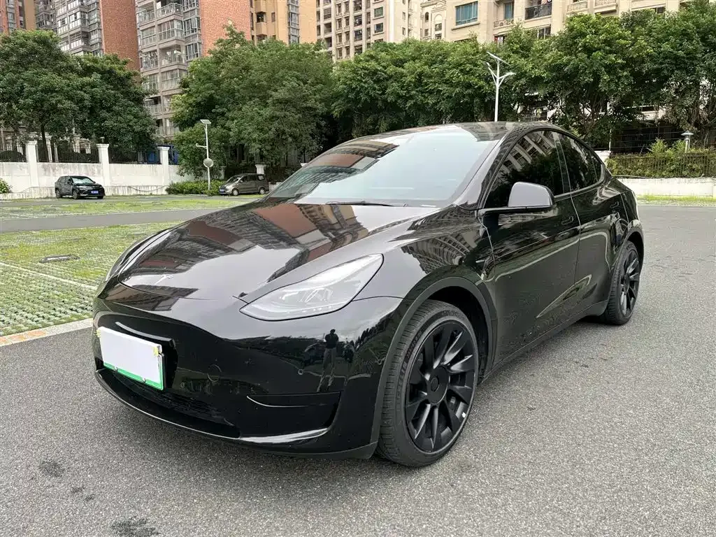 Tesla Model Y — фото 1