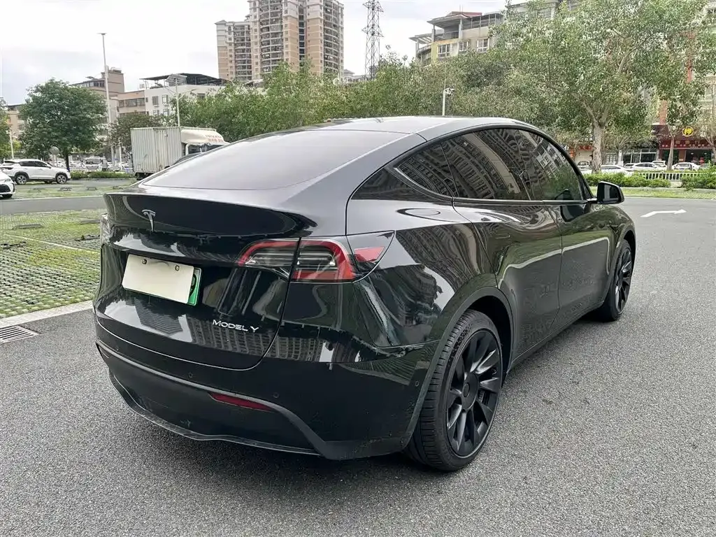 Tesla Model Y — фото 5