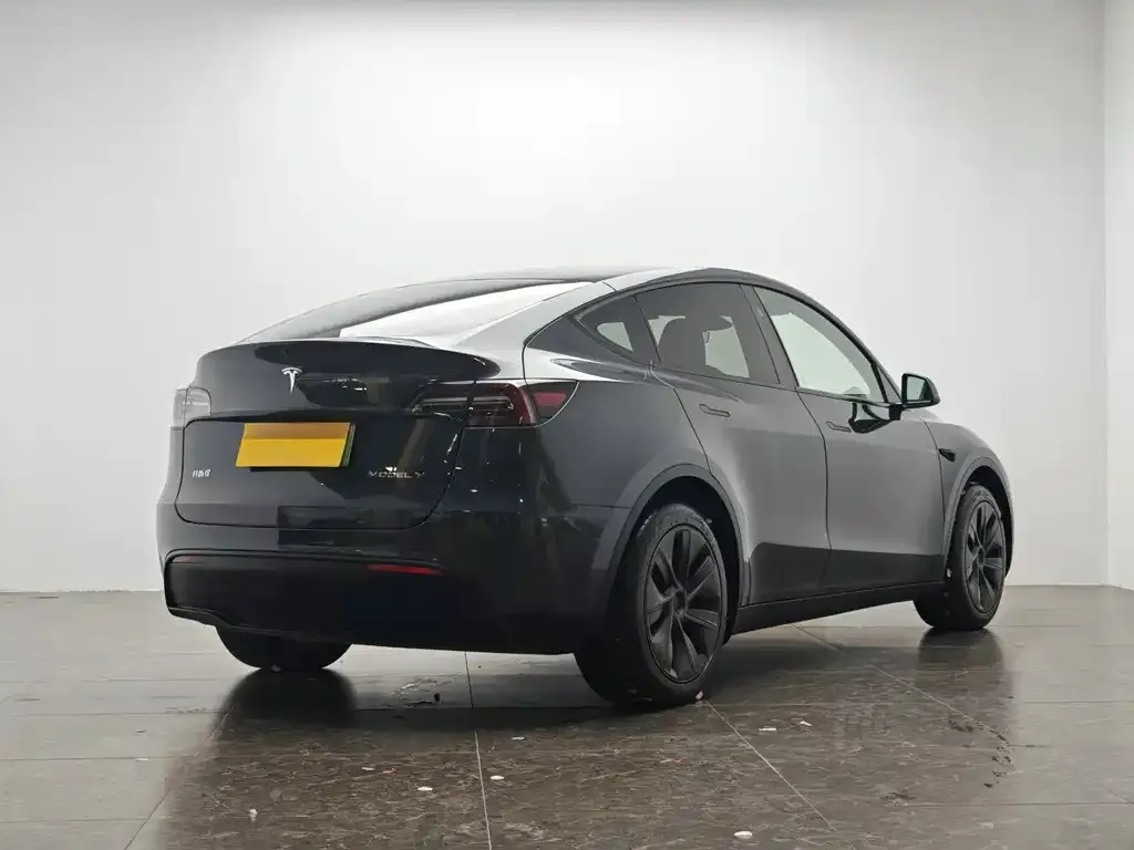 Tesla Model Y — фото 5