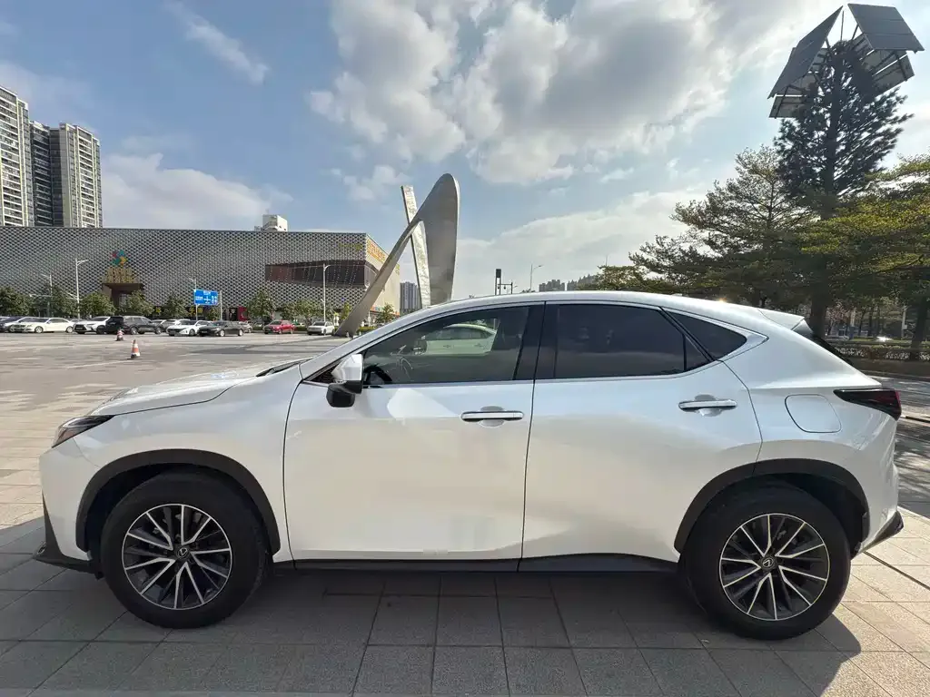 Lexus NX — фото 9
