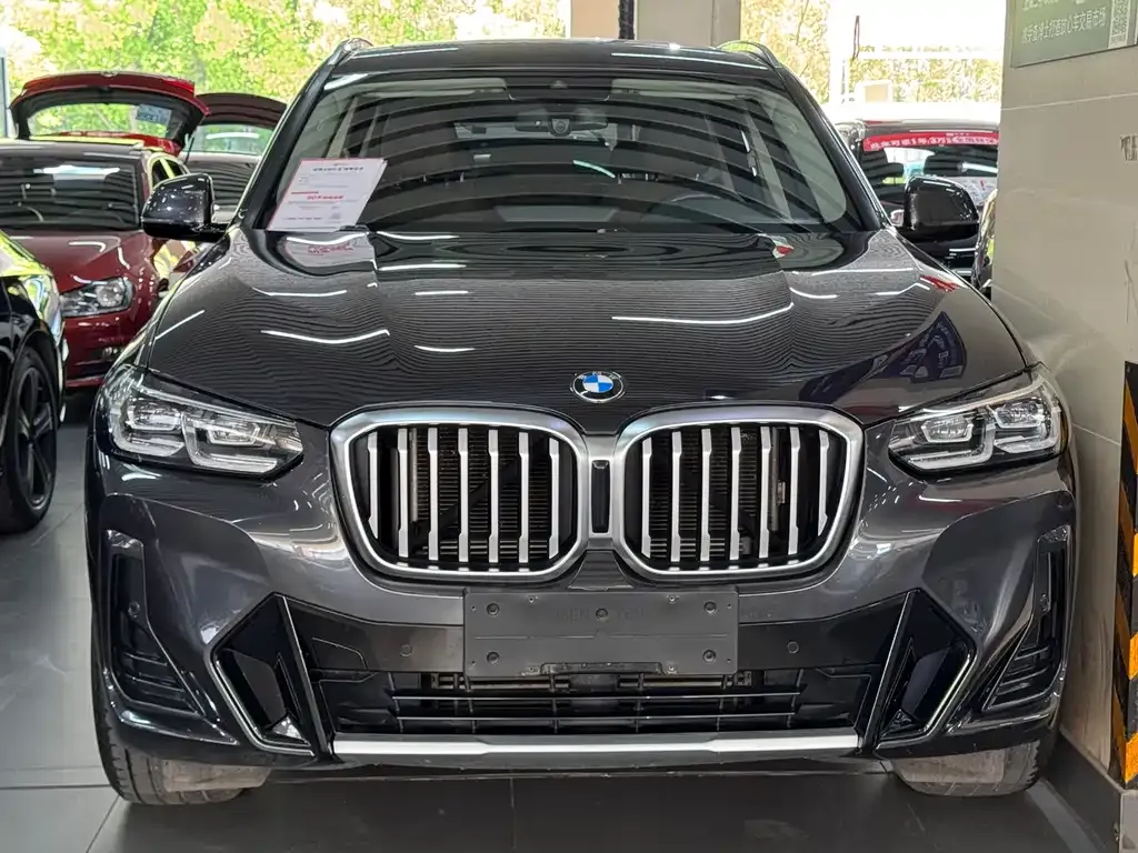 BMW X3 2021 из CN, фото 9