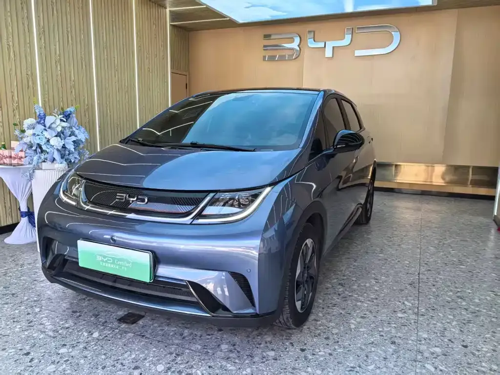BYD Dolphin 2025 из CN, фото 1