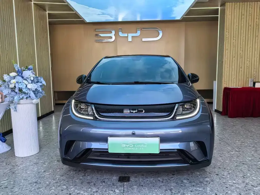 BYD Dolphin 2025 из CN, фото 6