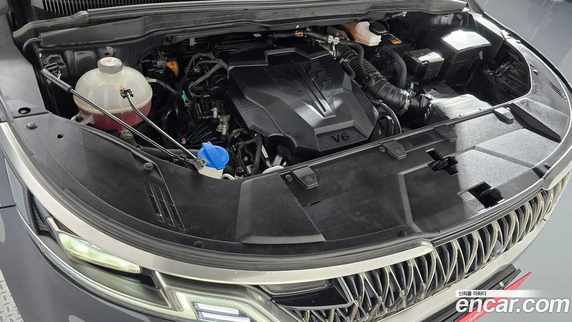 Kia Carnival — фото 10
